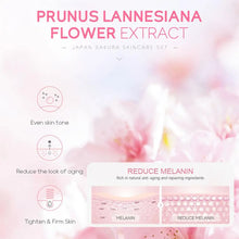 Load image into Gallery viewer, Sakura Travel Facial Care Kit
