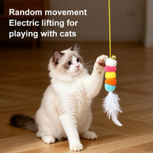 Load image into Gallery viewer, New Type Of Electric Cat Toy with 2 Ropes Smart Hanging Door Auto Swing Feather Toy A Self-entertainment And Cat-teasing Wonder
