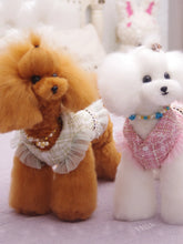 Load image into Gallery viewer, Dog clothes Princess Dress &amp; Jacket For Pets, Suitable For Poodle, Maltese, Yorkshire Terrier In Spring And Autumn
