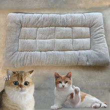 Load image into Gallery viewer, Thickened Super Soft Plush Sofa Bed
