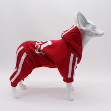 Load image into Gallery viewer, Comfortable Spring Dog Sports Suit

