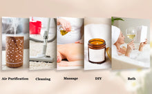 Load image into Gallery viewer, EUQEE Natural Plant Essential Oil 10ml
