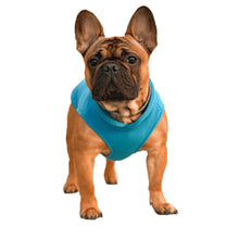Load image into Gallery viewer, Warm Fleece Dogs Clothes Pet Dog Jacket Vest With D-Ring For Small Dog Cats Clothing French Bulldog Costumes Chihuahua Coat
