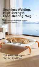 Load image into Gallery viewer, Pet Furniture Mesh Elevated Dog Beds Breathable Removable Raised Dog Bed with Pillow Outside Dog Bed Cat Patio Sunbathing
