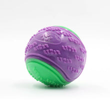 Load image into Gallery viewer, Dogs  Interactive Toys Soft TPR Toys for Dog Pet Teeth Cleaning Bite Resistance Squeaky Dog Ball Toy
