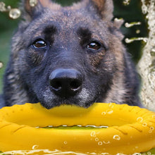 Load image into Gallery viewer, Dog Toys Pet Flying Discs EVA Dog Training Ring Puller Resistant Toys For Dogs Floating Puppy Bite Ring Toy Interactive
