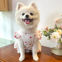 Load image into Gallery viewer, Sweet Cotton Pet Skirt Dress
