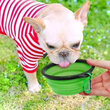 Load image into Gallery viewer, Portable Pet Food Bowl  Durable TPR Bowl  Cat and Dog Food Pet Silicone Collapsible Bowl Portable Travel Outdoor Water Food Bowl
