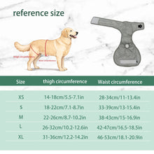 Load image into Gallery viewer, Pet Physiological Pants Female Dog Anti‑Dirty Anti‑Harassment Sanitary Pants Comfortable Breathable Teddy Bichon Universal
