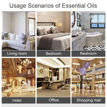 Load image into Gallery viewer, EUQEE Natural Plant Essential Oil 10ml
