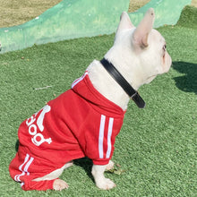 Load image into Gallery viewer, Comfortable Spring Dog Sports Suit
