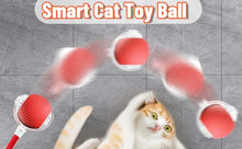 Load image into Gallery viewer, iLMH 1/2 PCS Cat Interactive Ball Toy Automatic Rolling Ball Faux Tail Rechargeable Smart Pet Electric Toy Pet Toy Imitate Mouse

