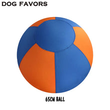 Load image into Gallery viewer, Pet Dogs Accessories Huge Animals Toys For Medium And Large Dog Pasture Calves Foals Lambs Dachshund Outdoor Playing Game Balls
