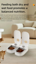 Load image into Gallery viewer, Pet Automatic Feeder Timed Quantification Separate Bowls for Dry Wet Feeding Easy to Clean Short-distance Travel Home Use
