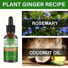 Load image into Gallery viewer, Rosemary Hair Essential Conditioning Oil
