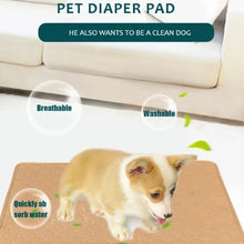 Load image into Gallery viewer, Reusable Washable Pee Training Pad
