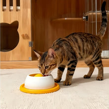 Load image into Gallery viewer, Pet Feeding Accessories Dog Treat Toy Puzzle Toys For Bored Puppy Slow Feeder Puppy Supplies For Healthy Eating Food Crate
