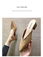 Load image into Gallery viewer, Women High Heels Slippers  Baotou Women Shoes Sexy Pointed Toe Chunky Heels Mules Outdoor Walking Slides Chaussure Femme 2024
