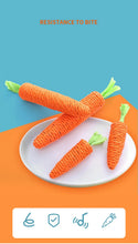 Load image into Gallery viewer, Cat Toy Carrot Sound Pet Products Bite Resistant Paper Rope Scratcher Clean Teeth Interactive Play Cat Carrot Chew Toy for Cat
