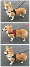 Load image into Gallery viewer, Quick Release Breathable Puppy Harness
