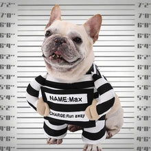 Load image into Gallery viewer, Pet Outfit Adjustable Pet Funny Costume Breathable Comfortable Halloween Dog Clothes Polyester Dog Party Dressed Up Festival
