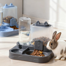Load image into Gallery viewer, 1 PC 2-in-1 Automatic Feeder with Controllable Food Amount for Small Animal Pets Rabbits Cats Dogs Feeder Bowl with Drink Bottle
