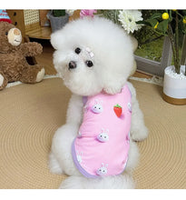 Load image into Gallery viewer, Spring pet apparel: cat &amp; dog clothing - cartoon 3d print, teddy style, cute &amp; breathable, anti-shedding, dropshipping available
