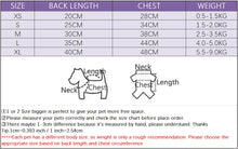 Load image into Gallery viewer, Cute Embroidered Pet Baseball Jackets Dog Clothes For Small Medium Cat Teddy Coat Puppy Spring Clothes Warm Fashion Pet Outfit
