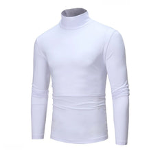 Load image into Gallery viewer, Spring Autumn Thin Men Pullovers Sweaters Turtleneck Knitted Sweater for Men Warm Clothing Male Sweaters Full Black White Tops
