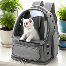 Load image into Gallery viewer, Transparent Pet Carrier Backpack Outdoor Travel Essential for Cats Small Dogs Breathable Design Comfortable Premium Pet Supplies
