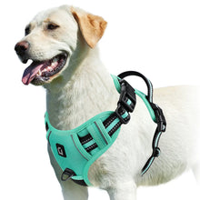Load image into Gallery viewer, Easy Control Handle No-Pull Vest
