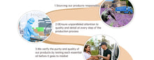 Load image into Gallery viewer, Pure Botanical Aromatherapy Essential Oil

