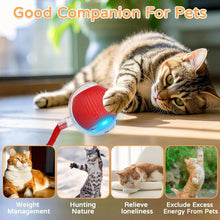 Load image into Gallery viewer, iLMH 1/2 PCS Cat Interactive Ball Toy Automatic Rolling Ball Faux Tail Rechargeable Smart Pet Electric Toy Pet Toy Imitate Mouse
