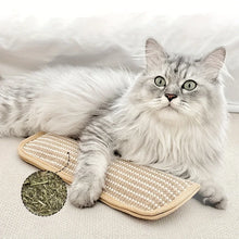 Load image into Gallery viewer, Durable Cat Toy Pillow and Scratching Pad - Chew-Resistant, Teething Bed Cover Style Cat Bed, Soft and Mosquito-Repelling
