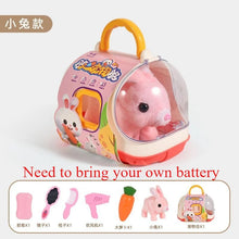 Load image into Gallery viewer, New Children's Simulation of Electric Plush Animal Toys, Play House Gifts for Boys and Girls with Sound Pet Toy Sets with Cages！
