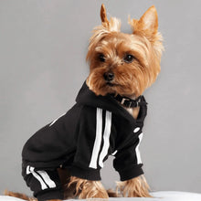 Load image into Gallery viewer, Comfortable Spring Dog Sports Suit
