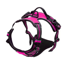 Load image into Gallery viewer, Complete Dog Collar Harness Set
