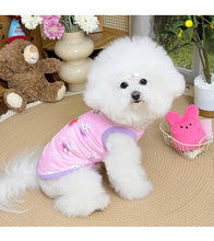 Load image into Gallery viewer, Spring pet apparel: cat &amp; dog clothing - cartoon 3d print, teddy style, cute &amp; breathable, anti-shedding, dropshipping available

