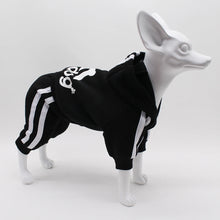 Load image into Gallery viewer, Comfortable Spring Dog Sports Suit

