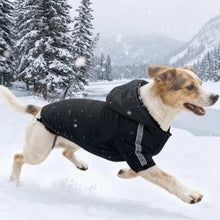 Load image into Gallery viewer, Reflective Waterproof Winter Pet Sweatshirt

