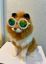 Load image into Gallery viewer, Pet Accessories Flower Sunglasses Circular Role Playing Glasses Photo Props Glasses For Cats And Small And Paracord Dog Leash
