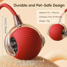 Load image into Gallery viewer, Durable Pet Toys for Dogs And Cats - Teaser Ball with Rope Jumping Ball Thud Toy for Self-Entertainment Pet Supplies
