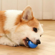Load image into Gallery viewer, Pet Toy Ball Automatic Moving Dog Toy Ball Smart USB Jumping Rotating Interactive Dog Chew Toy Ball for Puppy Ball Toy
