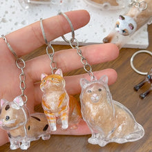 Load image into Gallery viewer, New Cat Hair Storage Keychain Bag Pendant Transparent Pet Fur Keepsake Capsule Souvenir Collection Gift Decoration Accessories
