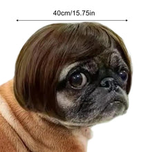 Load image into Gallery viewer, Pet Wig Accessories Dog Headdress Funny Costume Puppy Cosplay Dress Up Cute Pet Wig Cosplay Funny Props Head Accessories
