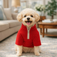 Load image into Gallery viewer, Zipper Ripple Pet Pullover Hoodie

