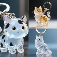 Load image into Gallery viewer, New Cat Hair Storage Keychain Bag Pendant Transparent Pet Fur Keepsake Capsule Souvenir Collection Gift Decoration Accessories
