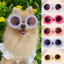 Load image into Gallery viewer, Pet Accessories Flower Sunglasses Circular Role Playing Glasses Photo Props Glasses For Cats And Small And Paracord Dog Leash
