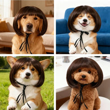 Load image into Gallery viewer, Pet Wigs Cosplay Props Dog Cat Cross-Dressing Hair Set Photography Funny Props Head Accessories Prank Pet Supplies Costumes DIY
