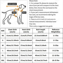 Load image into Gallery viewer, 1pc  Pet Dress Adorable Printed Design Pet Apparel Dog Cat Dress Fit for  Bichon Teddy Puppy Kitten Daily Outing Dress
